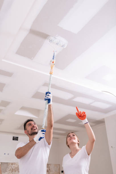 Best Dehumidification Services  in Provo, UT