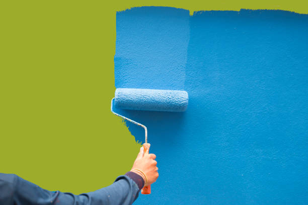 Best Biohazard Mold Removal  in Provo, UT